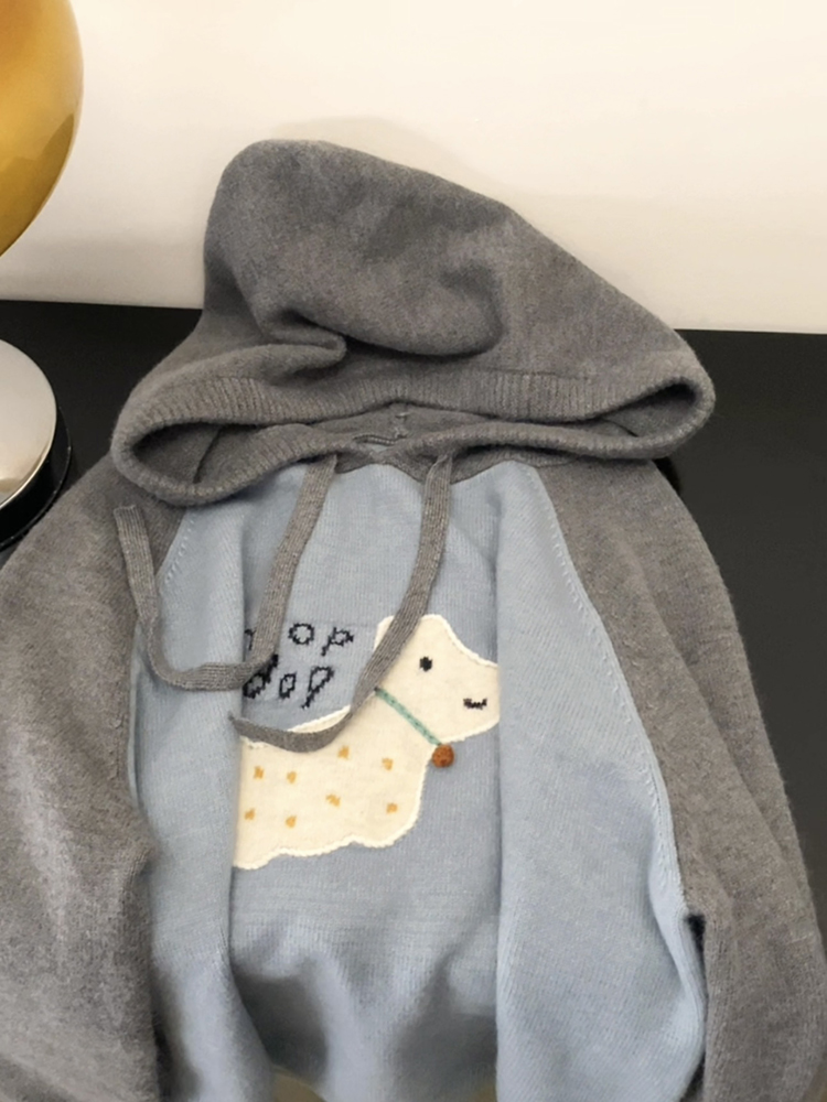 Autumn and winter Korean cartoon three-dimensional puppy hooded sweater large size loose flesh-covering lazy sweater jacket for women thickened