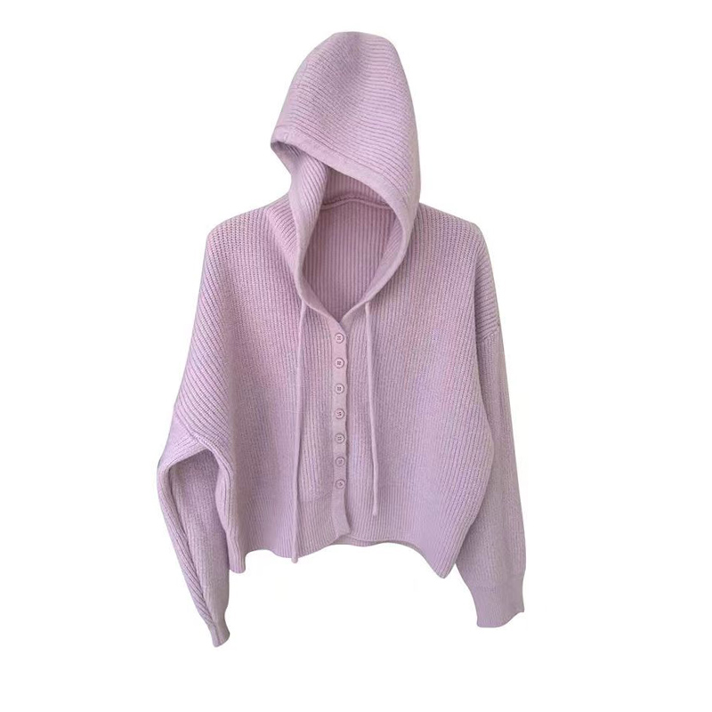 Gentle wind small hooded sweater for women spring and autumn new loose slim casual solid color cardigan top short style